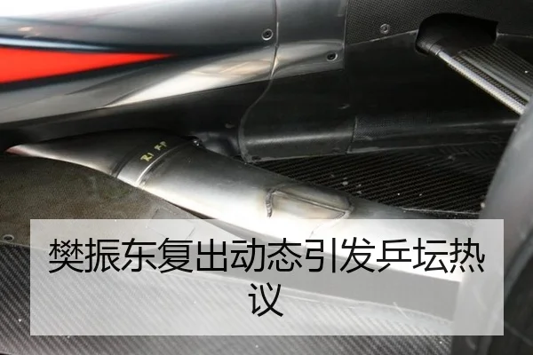 樊振东复出动态引发乒坛热议